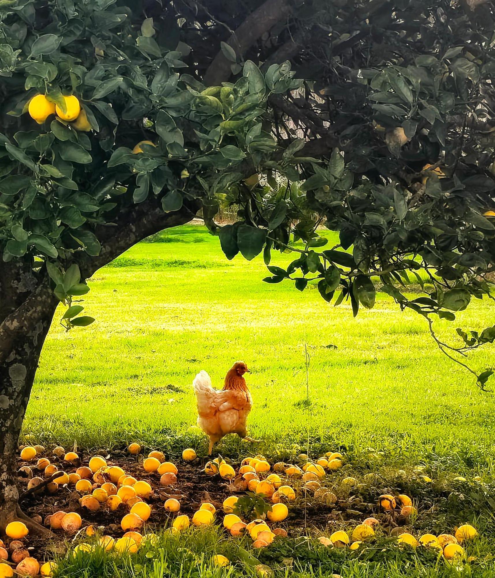 Apple Cider Lodge Omaha Bagian luar foto